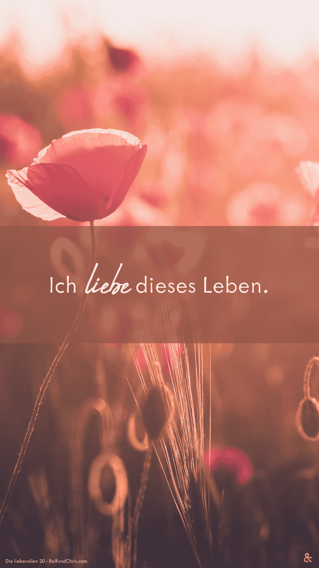 Wallpaper Ich liebe dieses Leben