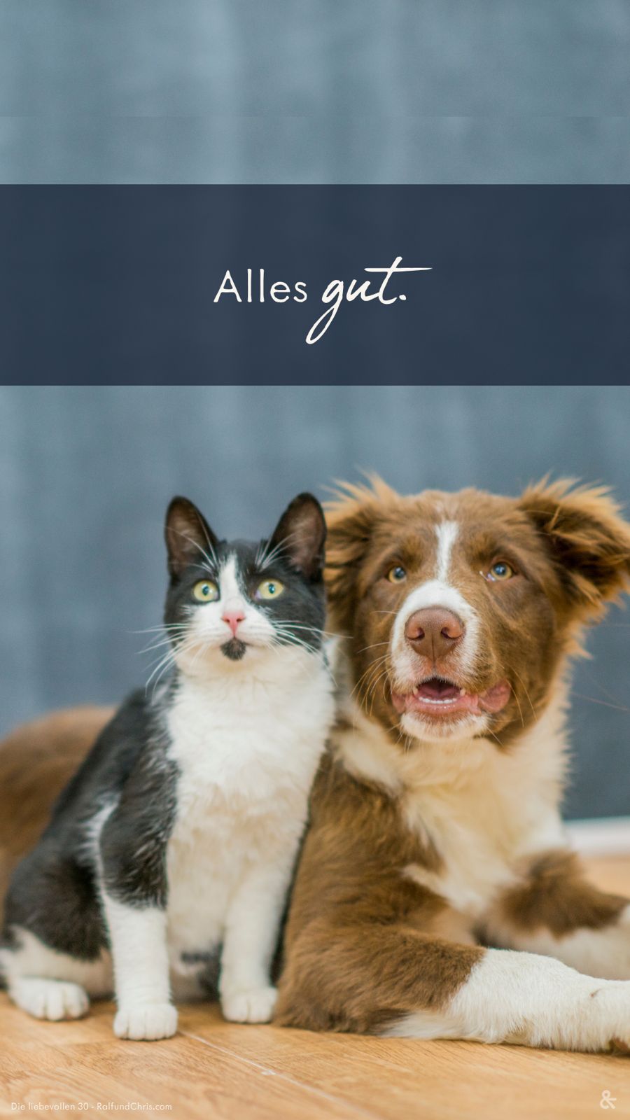 Wallpaper Alles gut